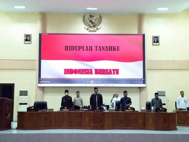 IMG-20250312-WA0090-768x578